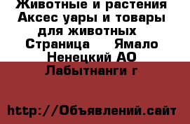 Животные и растения Аксесcуары и товары для животных - Страница 2 . Ямало-Ненецкий АО,Лабытнанги г.